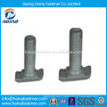 Hot DIP Galvanized Customized T Head Bolts with Slotted